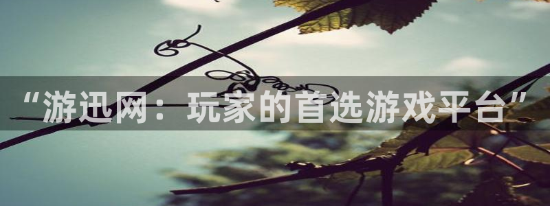 天美娱乐Ii：“游迅网：玩家的首选游戏平台”