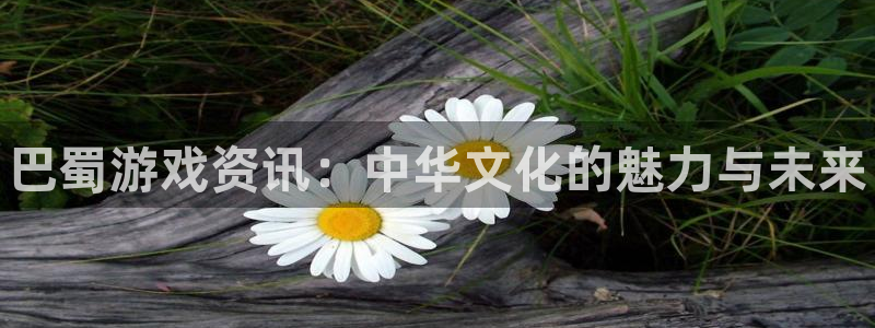 天美娱乐集团：巴蜀游戏资讯：中华文化的魅力与未来
