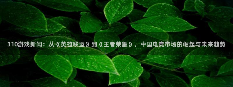 天美娱乐测速：310游戏新闻：从《英雄联盟》到《王者荣耀》，