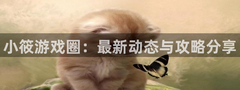 天美娱乐平台：小筱游戏圈：最新动态与攻略分享