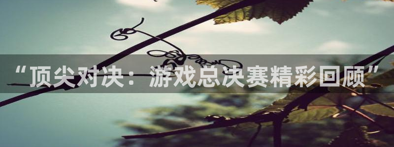 天美娱乐网页登录入口：“顶尖对决：游戏总决赛精彩回顾”